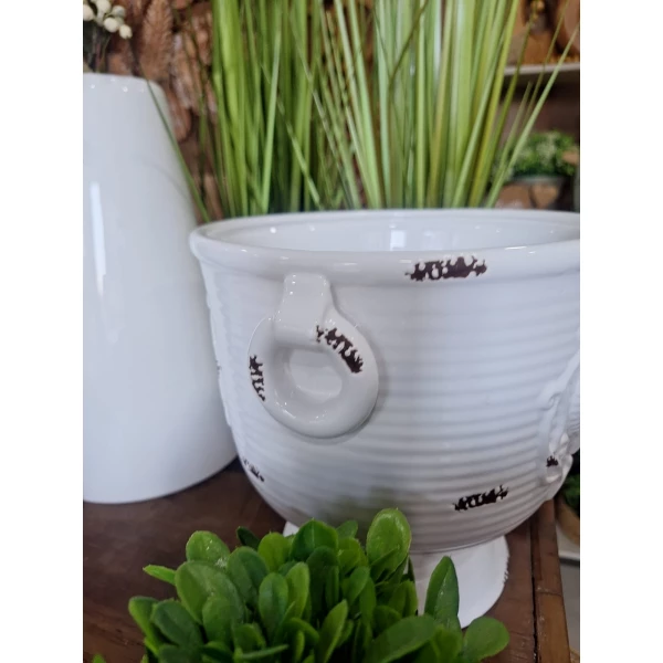 Vaso Coroa 