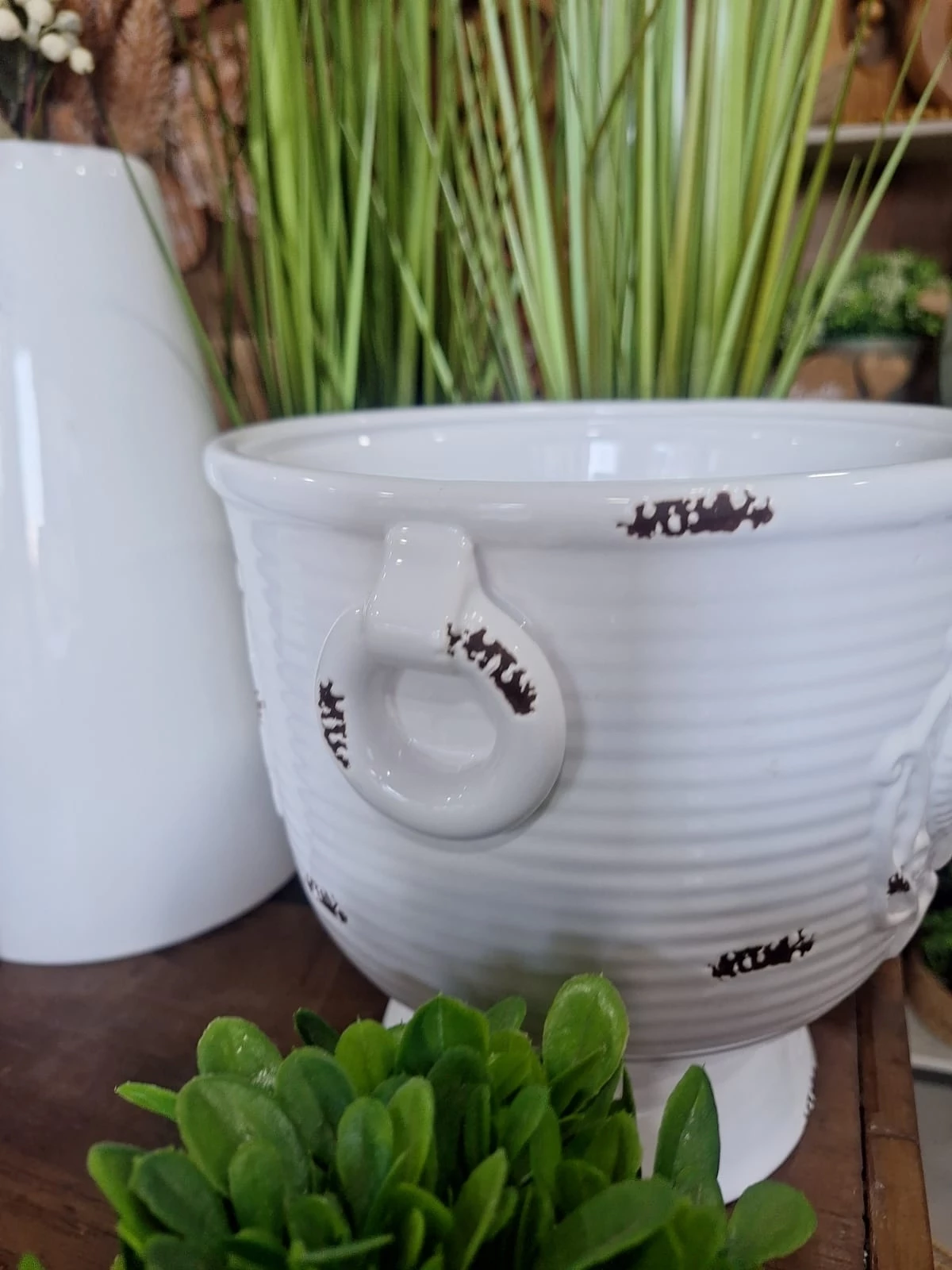 Vaso Coroa 